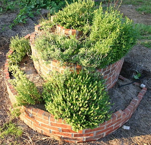 brick herb spiral filled with herb plants