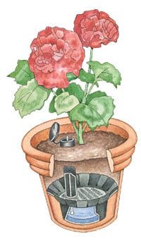 Convert a pot into a self-watering planter