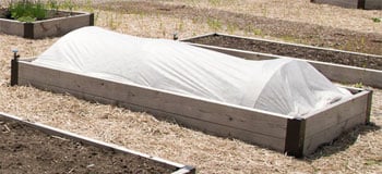 Raised bed covered with garden fabric