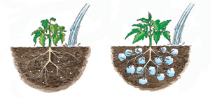 Water-absorbing crystals for pots and planters