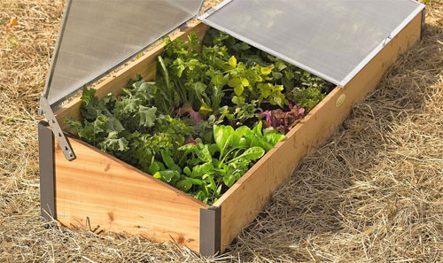 Cold frame