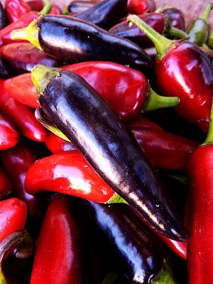 Black Hungarian pepper