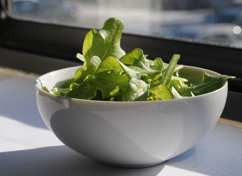lettuce