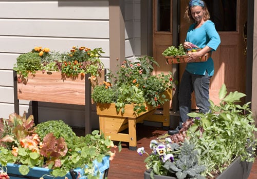 Fresh food at your doorstep