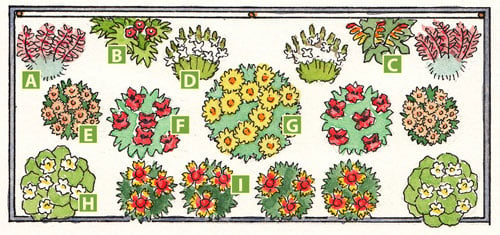 Plan for butterfly garden