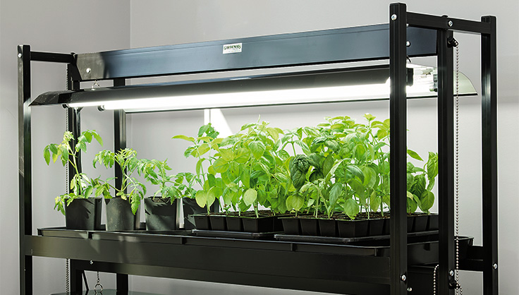 Efternavn knap Alvorlig How to Choose a Grow Light | Gardener's Supply