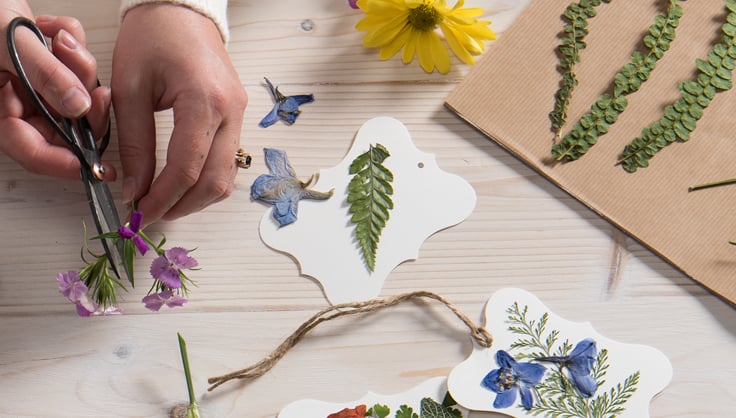 How to dry strawflowers - my tried and tested methods