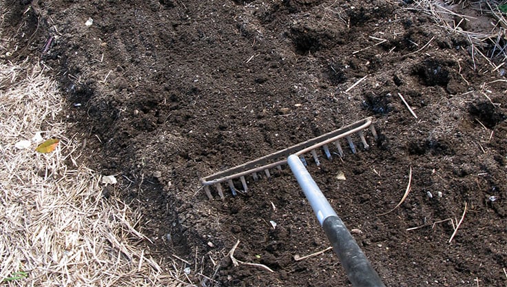 Organic Garden Soil Use Compost More Gardeners Com - How To Improve Sandy Soil For Flower Garden