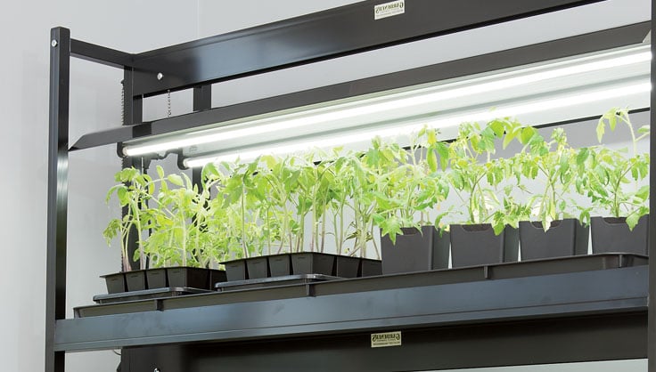 how to use grow lights for vegetables