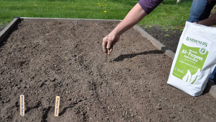 spreading fertilizer