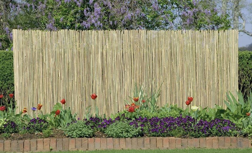 natural reed fence creates privacy