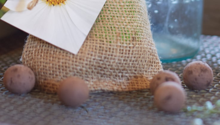 Seed balls on a tray