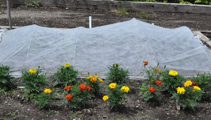 Garden Fabric Row Covers Shade, Do You Use Landscaping Fabric When Planting Ground Cover Plants