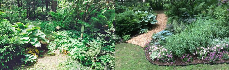 before and after garden path 