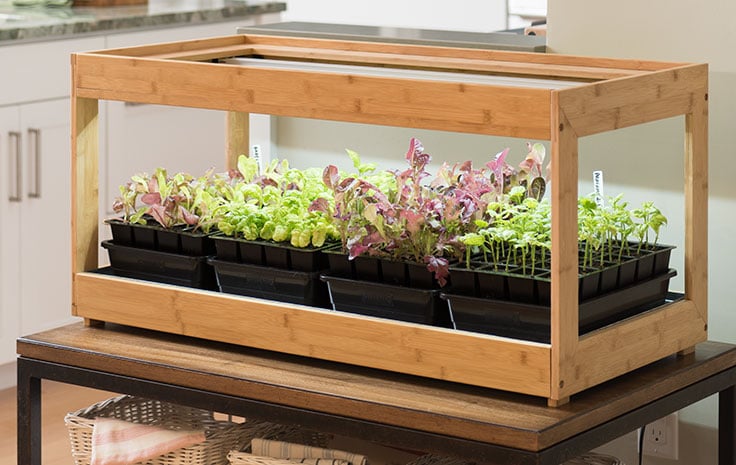 Gardening Under Grow Lights