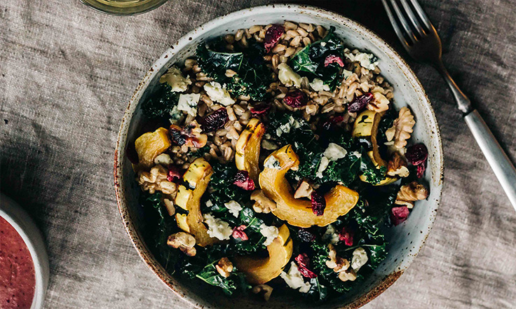 Recipe: Roasted Delicata Squash, Kale, and Farro Salad w/ Cranberry Dressing