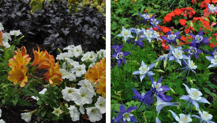 Colourful Flower For Flowers Lovers' Men's Tri-Blend Organic T