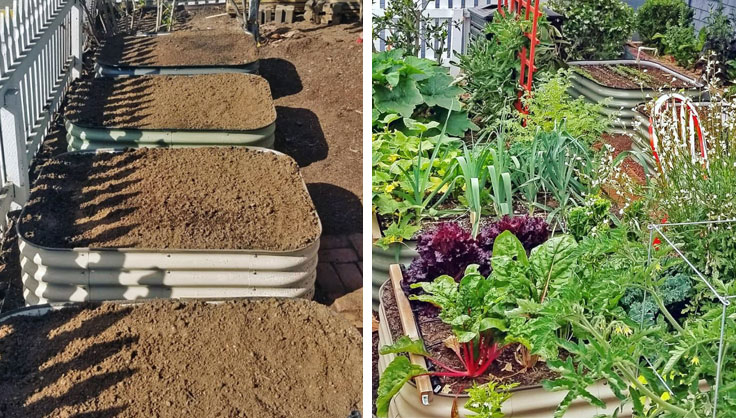 before and after front yard garden