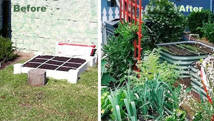 before and after front yard garden