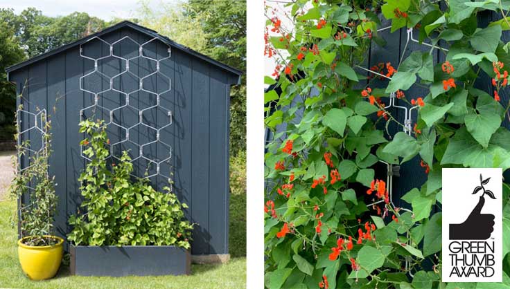 Vertex Wall Trellis