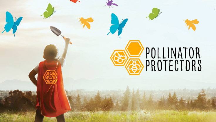 Pollinator Super Hero in a field