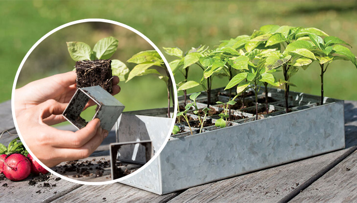 Galvanized seed starting system