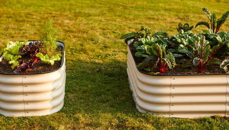 31 Easy and Inexpensive DIY Raised Garden Bed Ideas