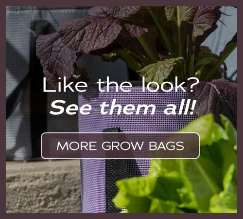 https://www.gardeners.com/globalassets/carousels/pdp-product-collections/cta-images/productcollections_pdpadgrowbagcollection_pdpad.jpg