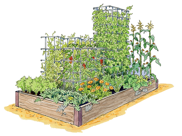 Fun for Kids Garden Illustration