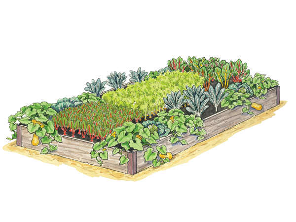 Giving Garden Illustration