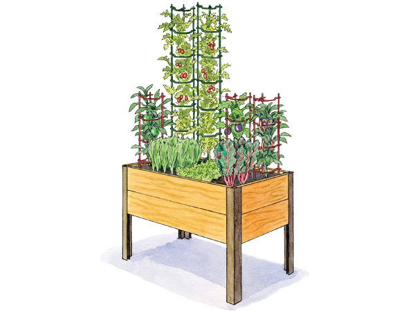 Mediterranean Garden 2x4 Illustration