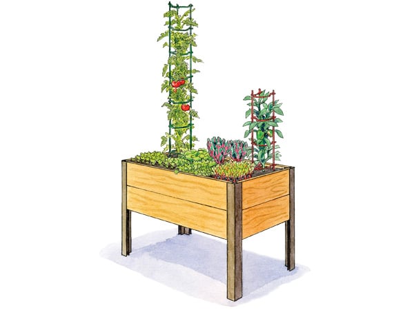 Salad Garden 2x4 Illustration