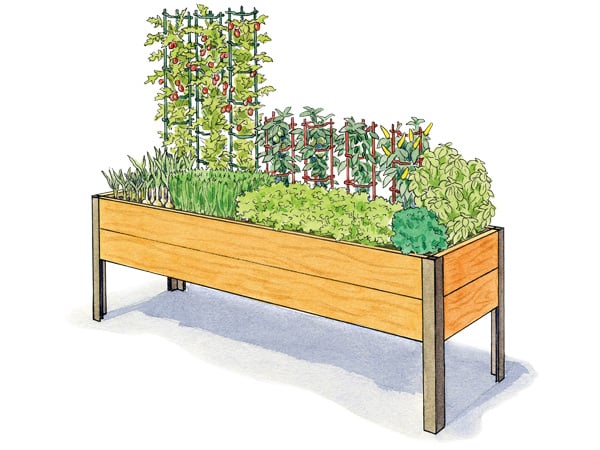 Salad Garden 2x8 Illustration