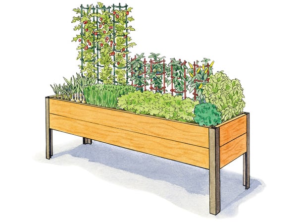 SaladGarden2x8.jpg