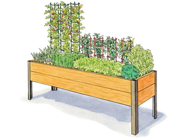 Salsa Garden 2x8 Illustration