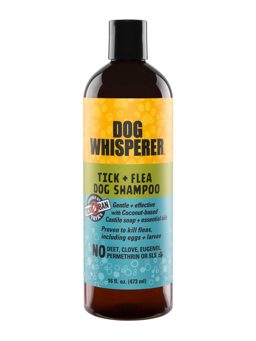 Dog Whisperer Tick & Flea Dog Shampoo 16 oz | Gardener's Supply