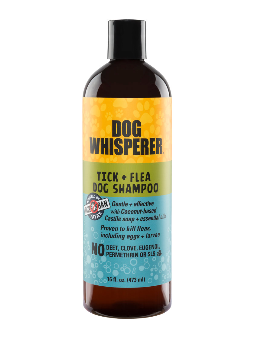 Dog Whisperer Tick & Flea Dog Shampoo 16 oz | Gardener's Supply Dog Whisperer Tick & Flea Dog Shampoo 16 oz | Gardener's Supply