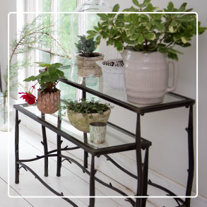 Plant Stands & Trays