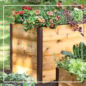 Elevated Garden Beds