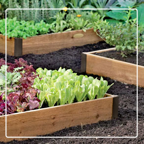 Raised Beds