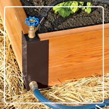 Raised Beds