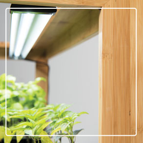 Grow Lights & Stands