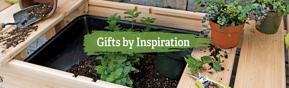 Closeup of Gardener's Potting Bench with tools around and plants in sink