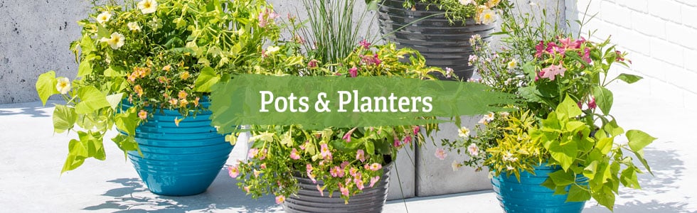 Pots & Planters