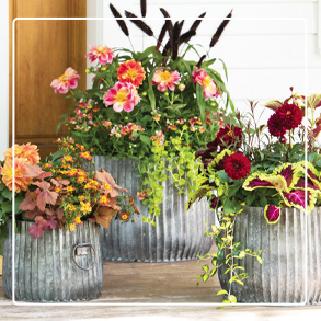 Gifts by Gardener