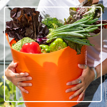 Closeup of woman's arms holding 11 Gallon Orange Tubtrug filled with freshly harvested vegetables
