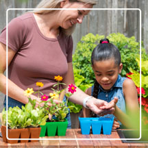 Woman and child planting Sili Seedlings on potting bench