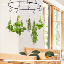 Herb Drying Rack with green herbs hanging from it above a Harvest Storage Rack with squash on top