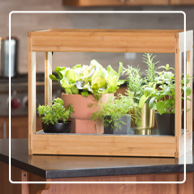 Bamboo Mini LED Grow Light Garden with greens planted under it on black kitchen countertop