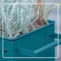 Close up of blue Demeter Mobile Planter Cart with shrub plants growing inside